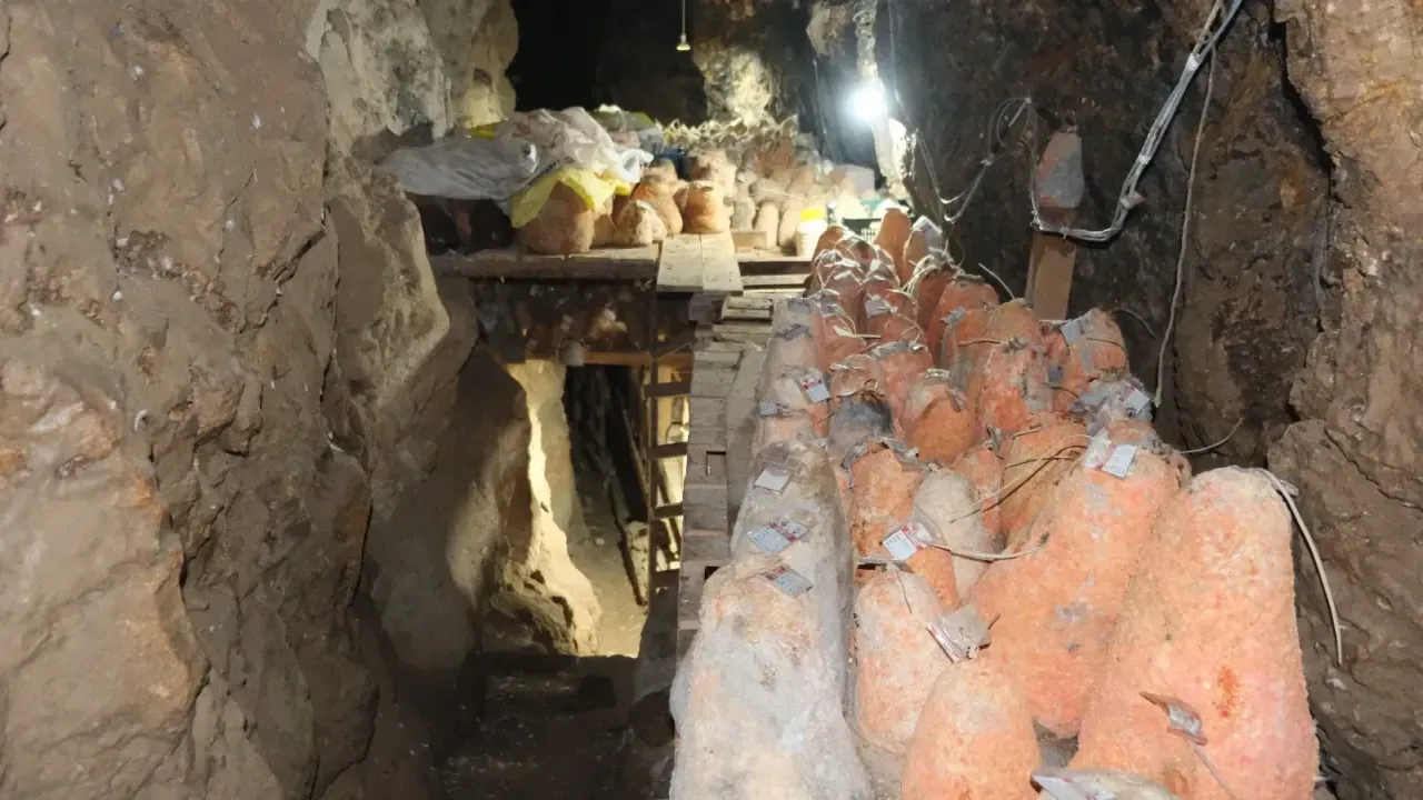 Mağaraya beyaz giriyor, kırmızı çıkıyor: ‘Divle Obruk Peyniri’ sofralara hazırlanıyor