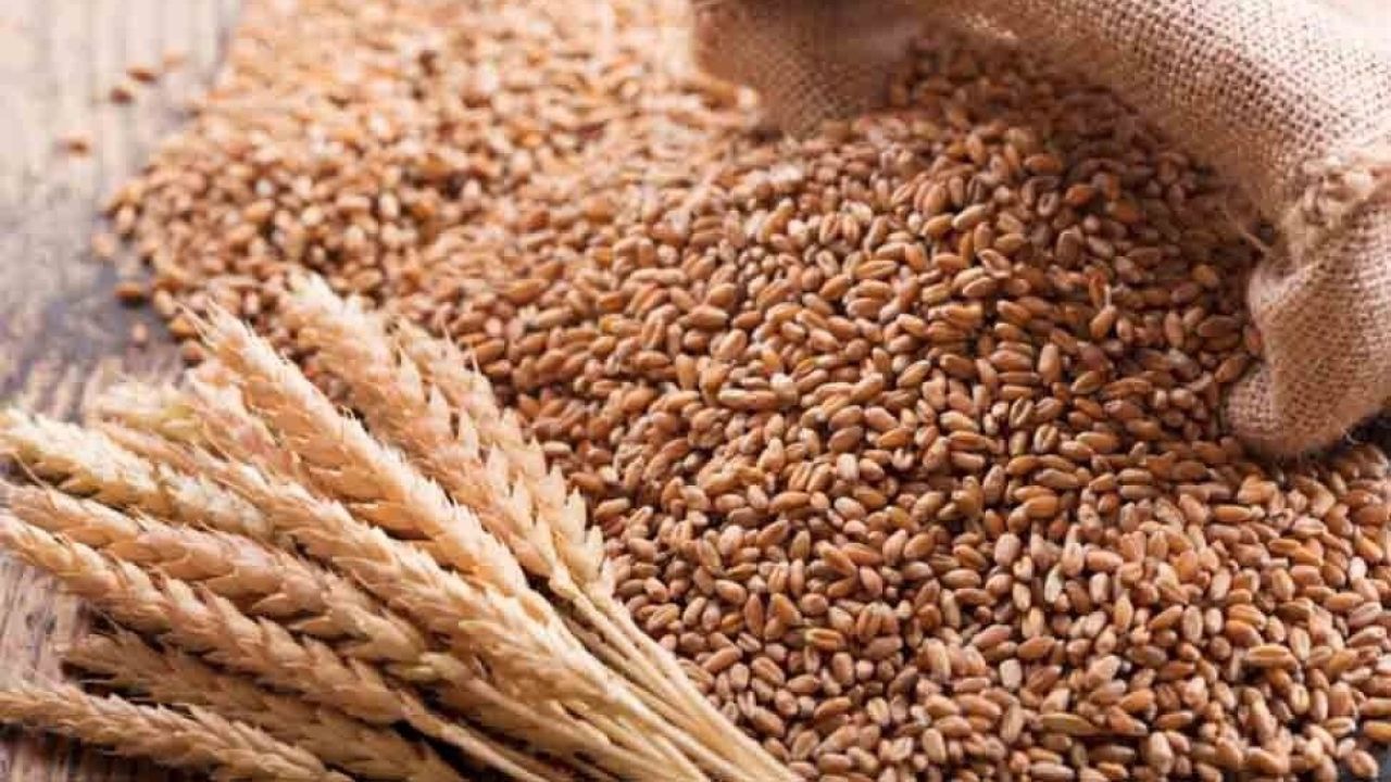 Buğday ve Arpa Fiyatlarında Yükseliş: İşte Haftanın Tarım Ürünleri Fiyatları