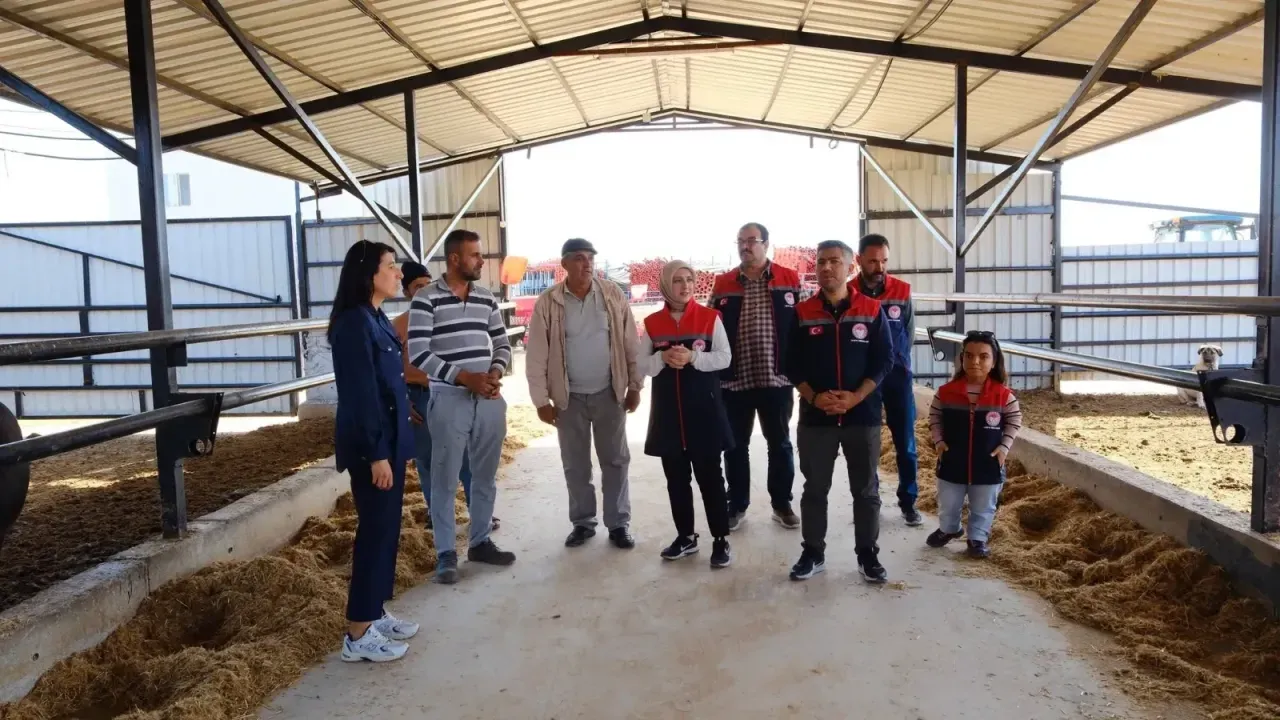 Kazımkarabekir’de 100 Başlık Angus Çiftliğine Ziyaret!