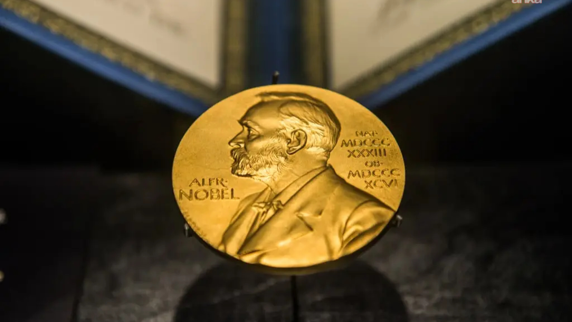 Nobel Edebiyat Ödülü sahibini buldu