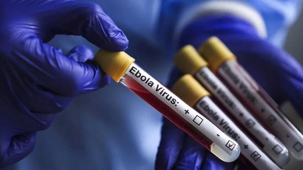Ebola salgını: Kongo Demokratik Cumhuriyeti'nde vaka sayısı 9 bine dayandı
