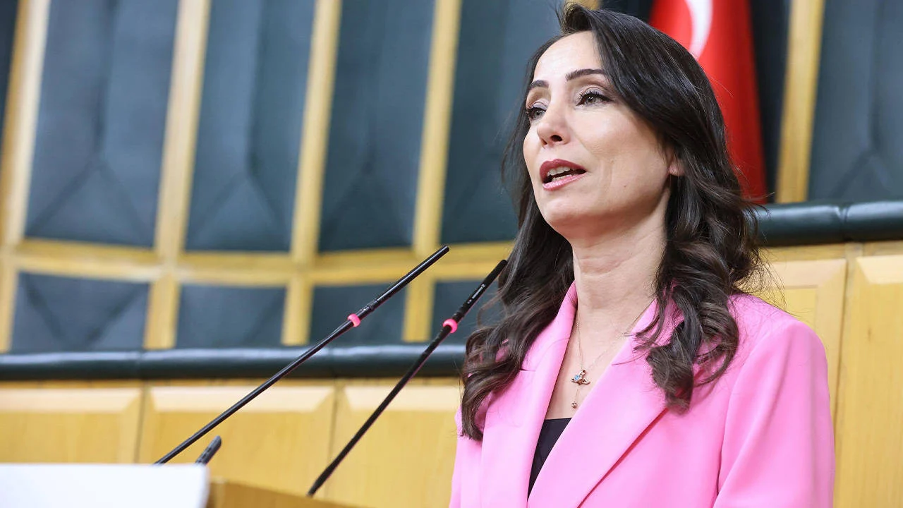 Hatimoğulları'ndan 'çerçeve yasa' değerlendirmesi: YENİ Parti'nin tamamından evet beklerdik