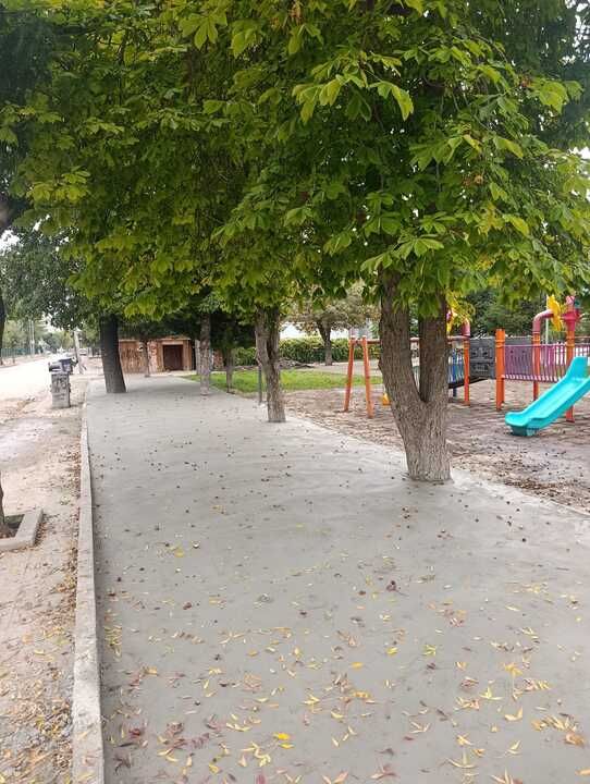 İstasyon Parkı'nda Ağaç Katliamı Nasıl Önlendi?