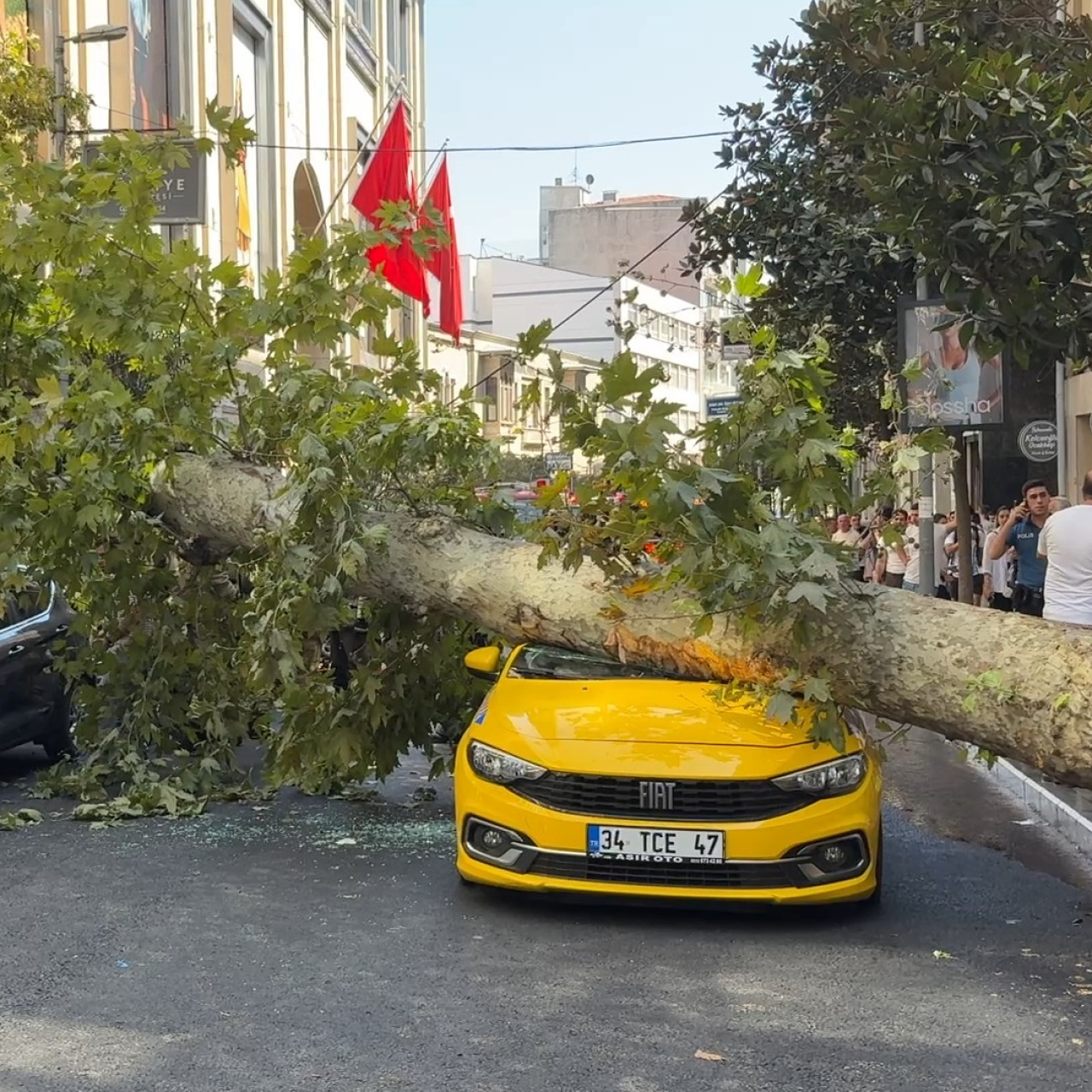 Şişli'de ağaç devrildi! Felaket teğet geçti!
