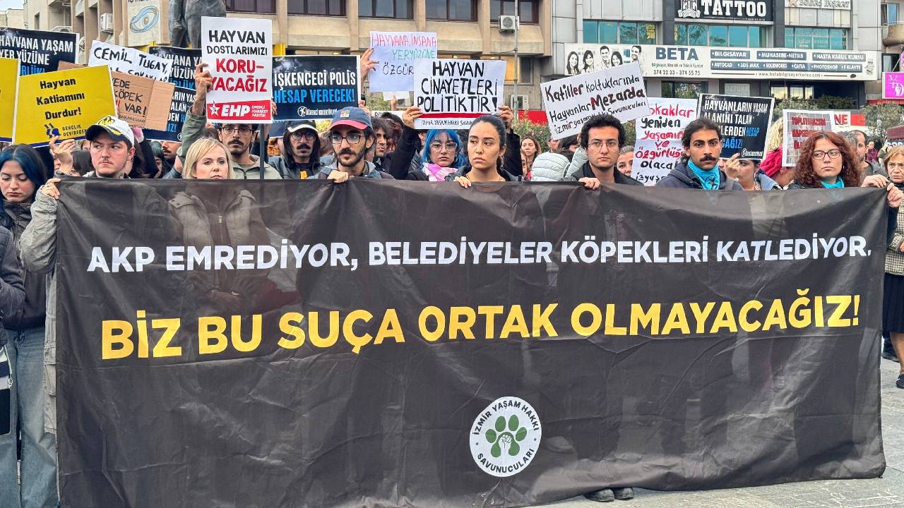 İzmir'de yaşam hakkı savunucularından Ege Üniversitesi kampüsündeki köpeklerin toplatılmasına tepki