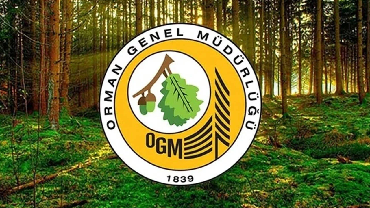 Orman Genel Müdürlüğü 12 müfettiş yardımcısı alacak