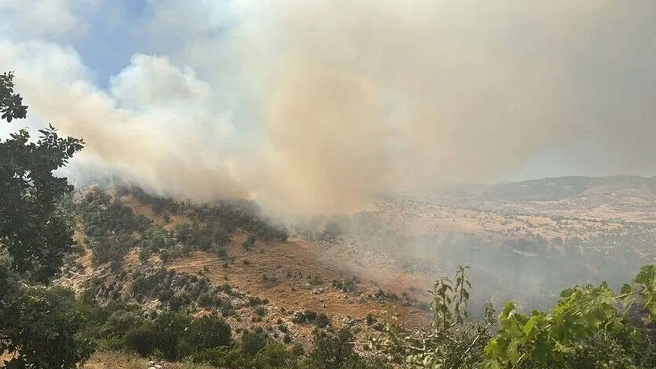 Diyarbakır'da ormana sıçrayan yangına müdahale ediliyor