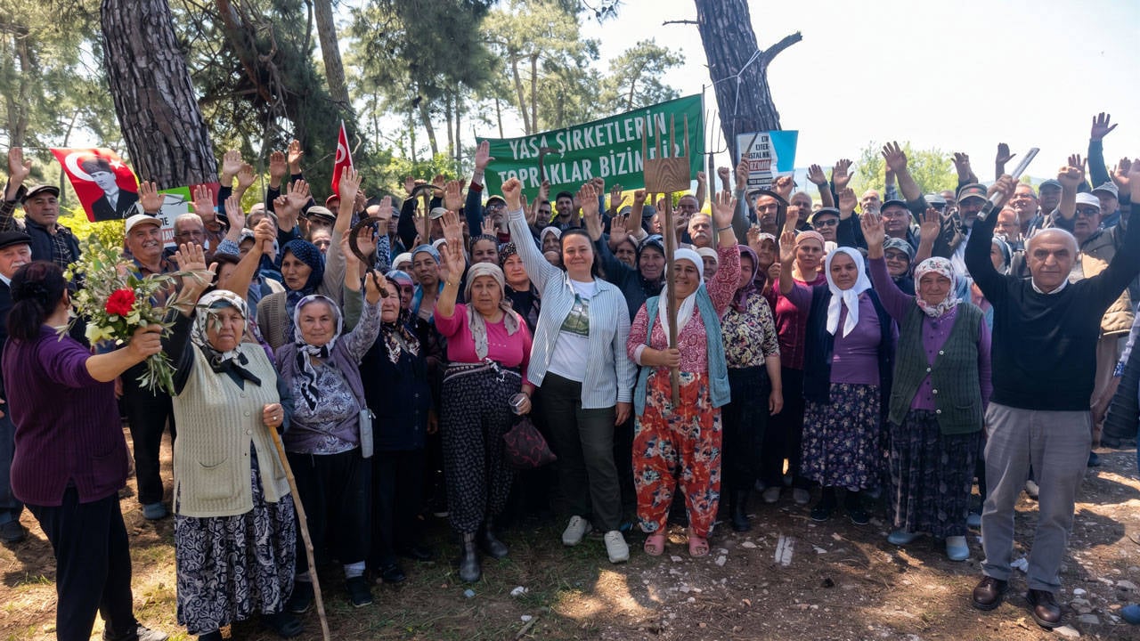 Danıştay Akbelen'de şirket lehine karar verdi