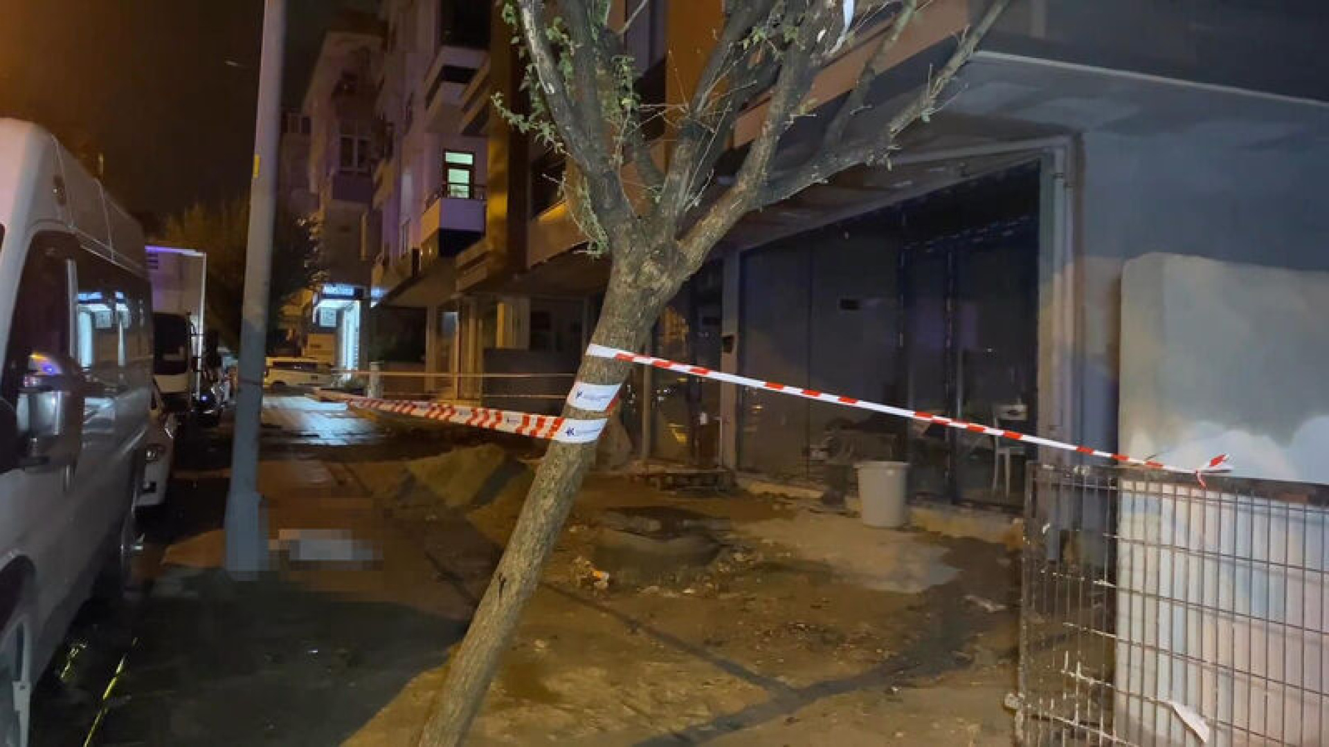 Akıma kapılan köpek öldü, sahibi yaralandı
