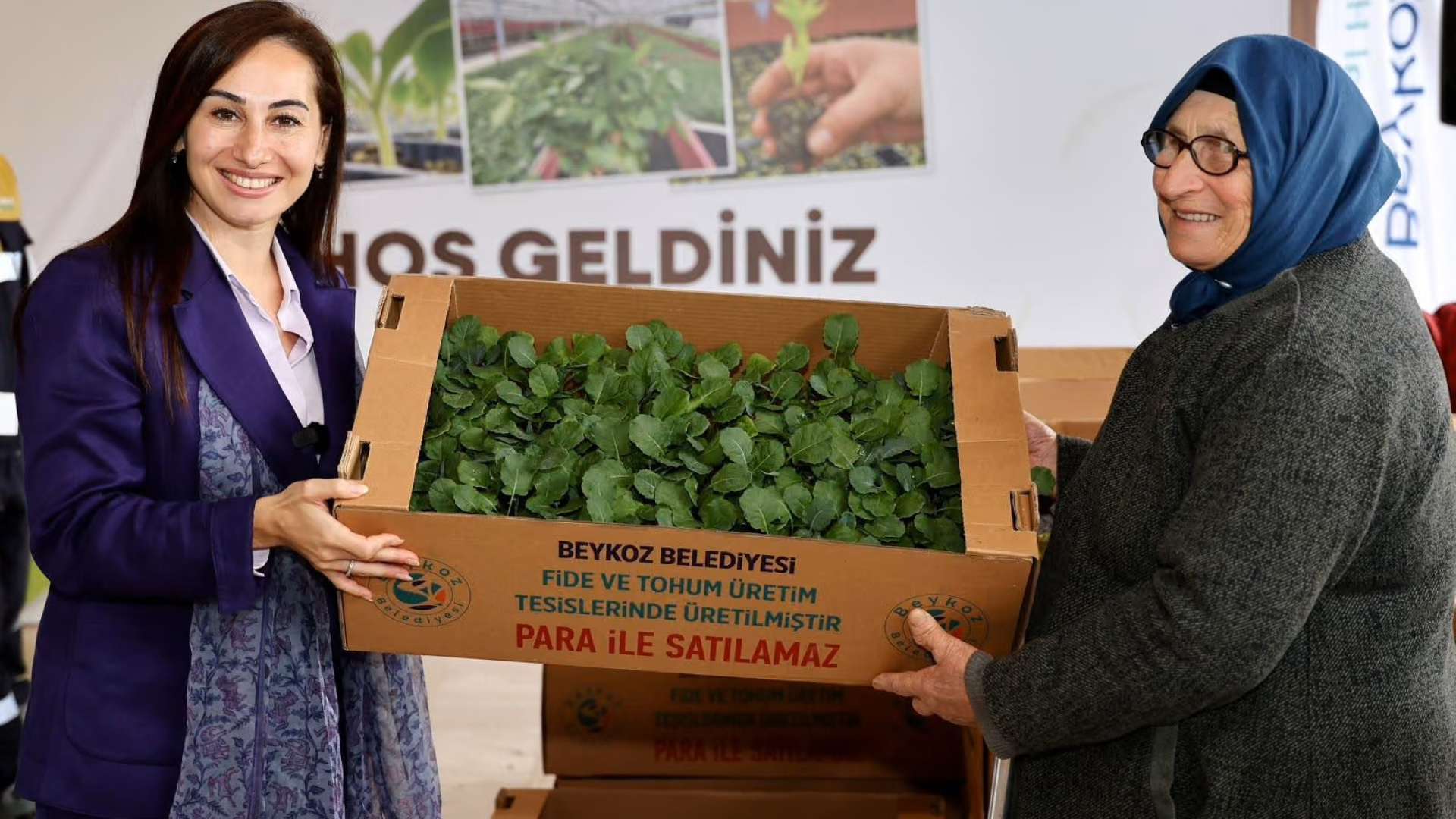 Beykoz'da çiftçilere kışlık fide desteği