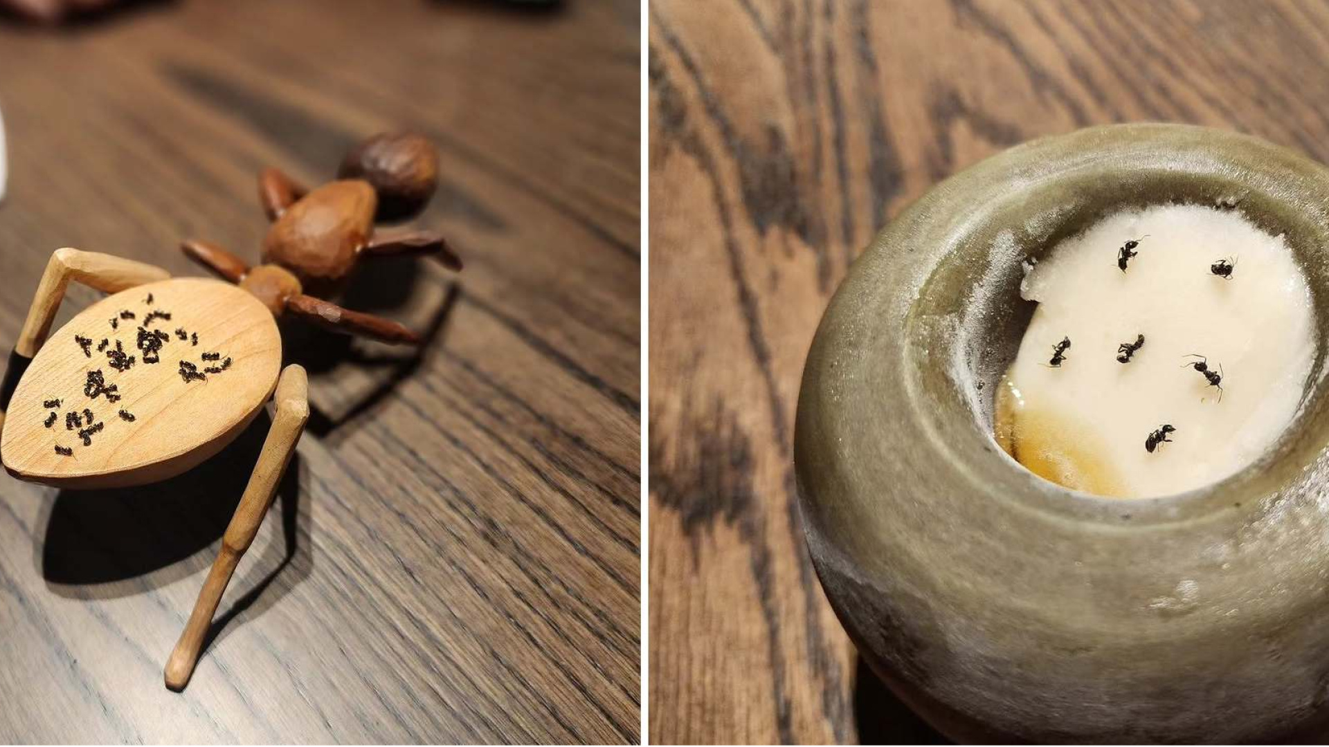 Michelin yıldızlı restoranda karınca skandalı