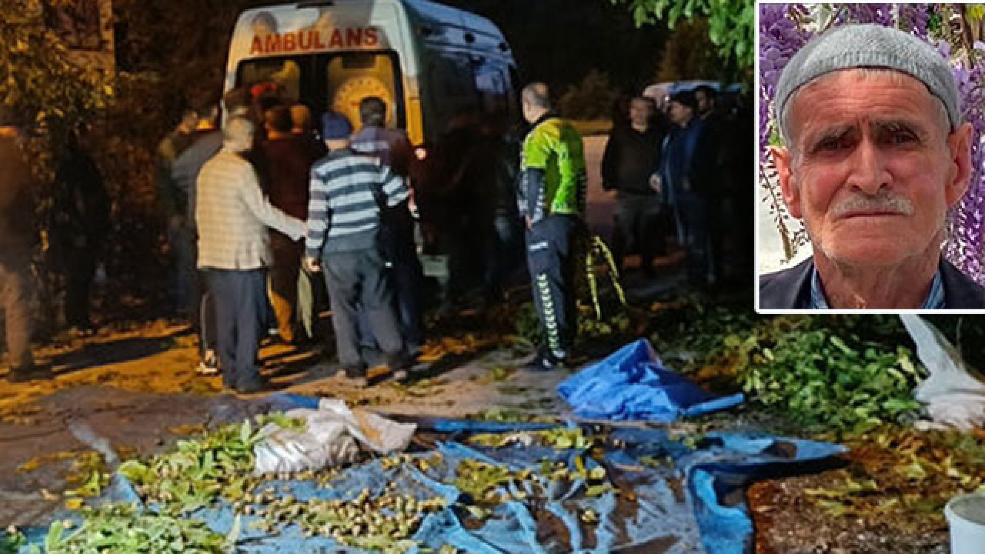 Ceviz uğruna hayatından oldu