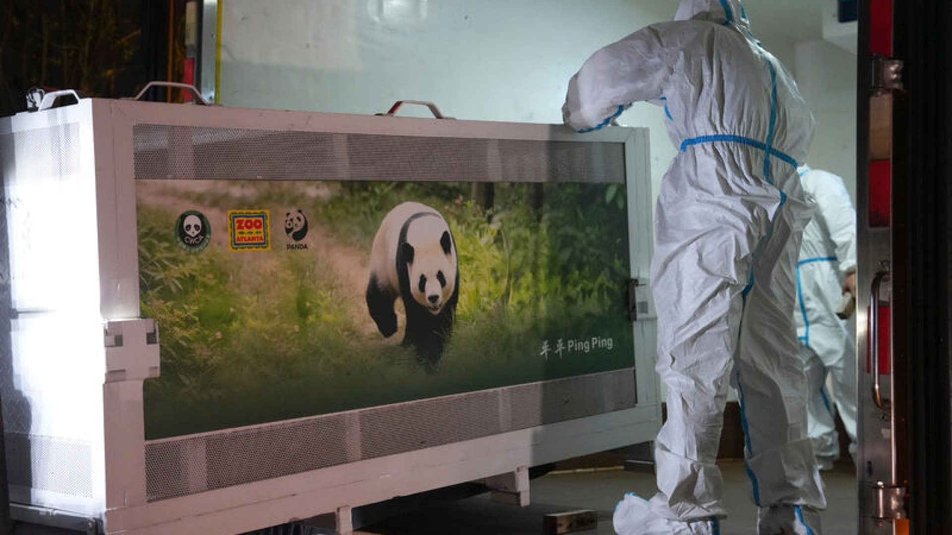 ABD-Çin hattında panda diplomasisi