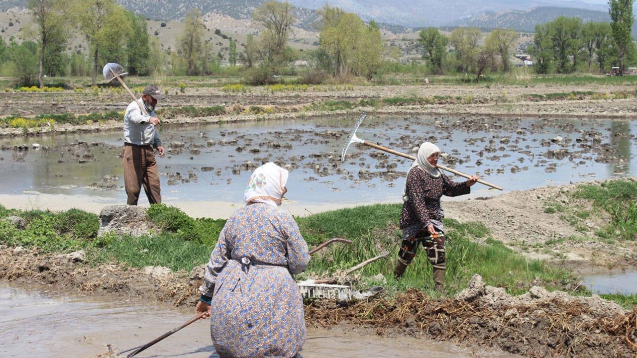 Çiftçiyi tarlasında köle edecekler