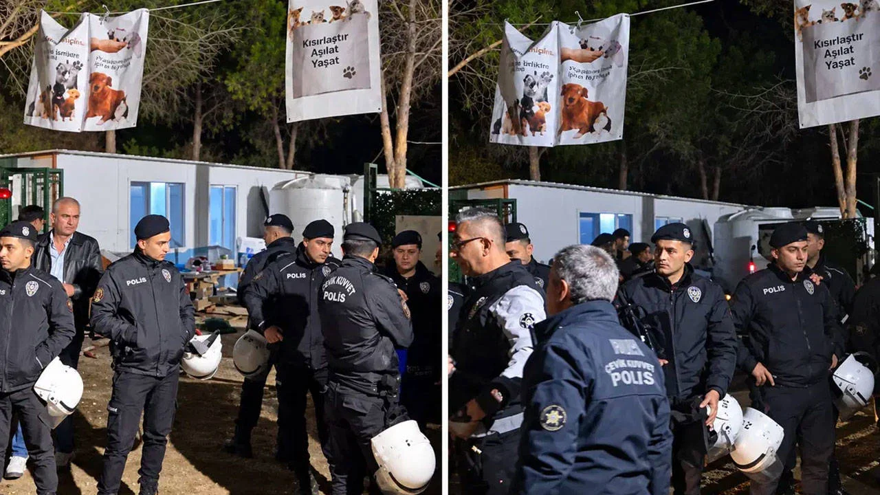 Ege Üniversitesi'ne gece yarısı baskını: Yaklaşık 200 köpek toplatıldı