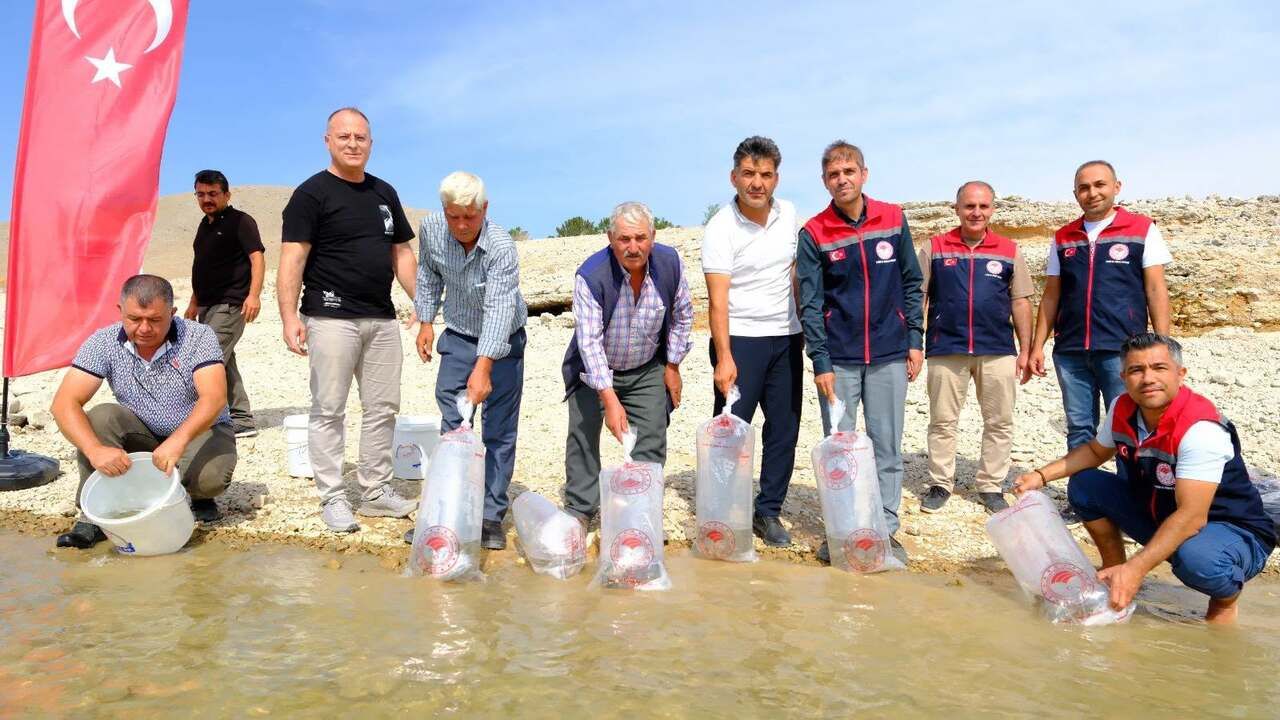 Karaman’da Barajlara 150 Bin Pullu Sazan Yavrusu Bırakıldı