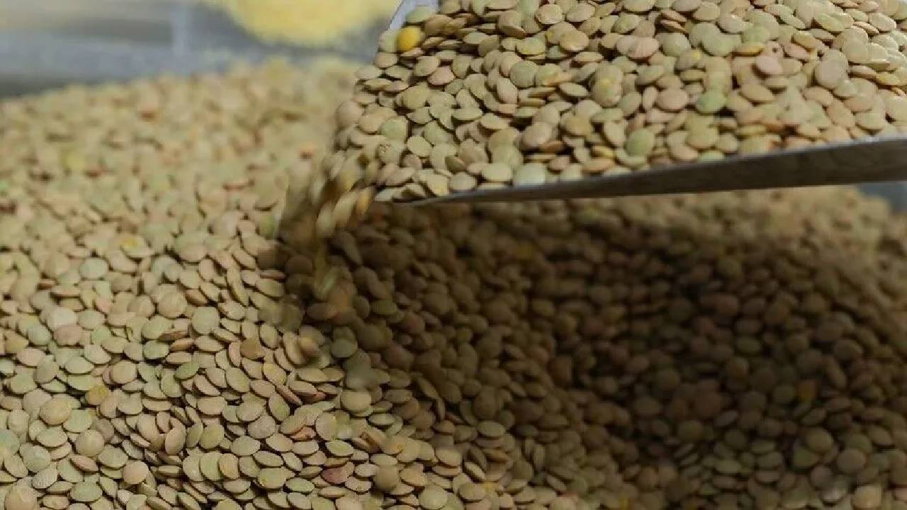 Toprak Mahsulleri Ofisi'nden yeşil mercimek alımı açıklaması