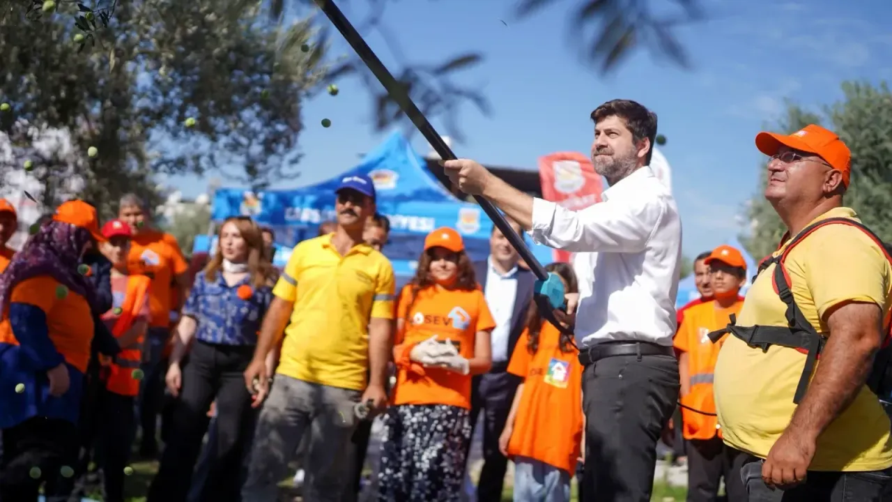 Tarsus'ta Zeytinler Lösemili Çocuklar İçin Toplandı