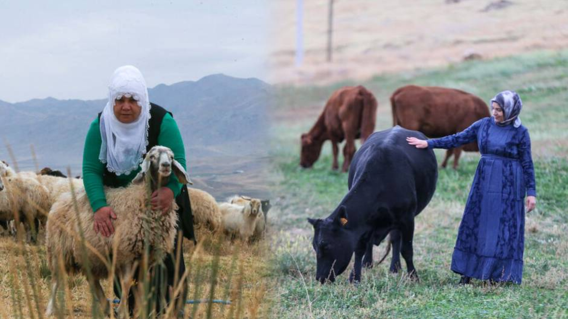Devlet desteğiyle başladılar, iki katına çıkardılar