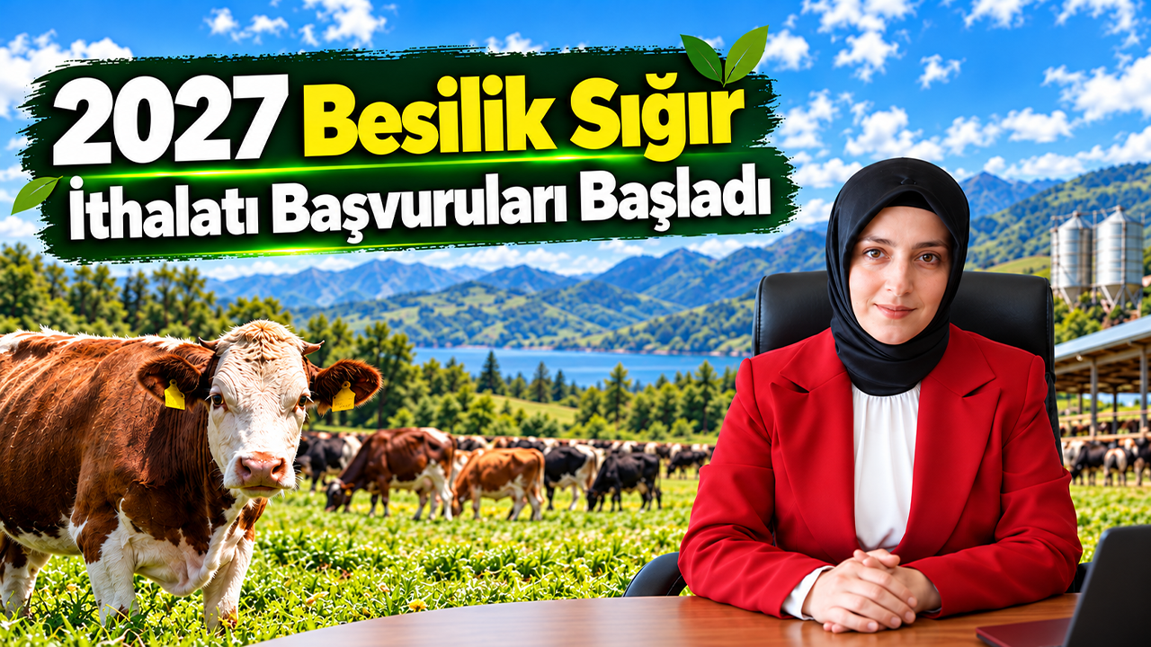 2027 Besilik Sığır İthalatı Başvuruları Başladı