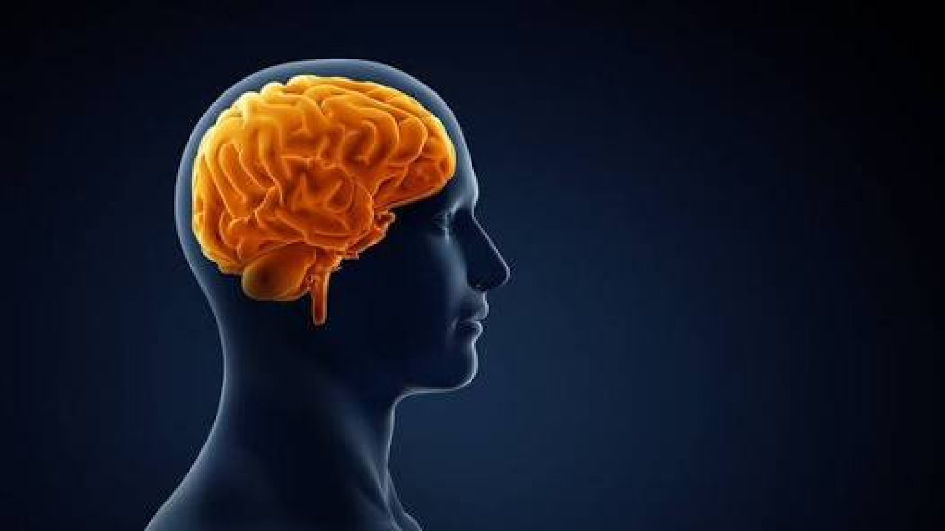 Alzheimer hastaları sosyal hayatın içinde kalmalı
