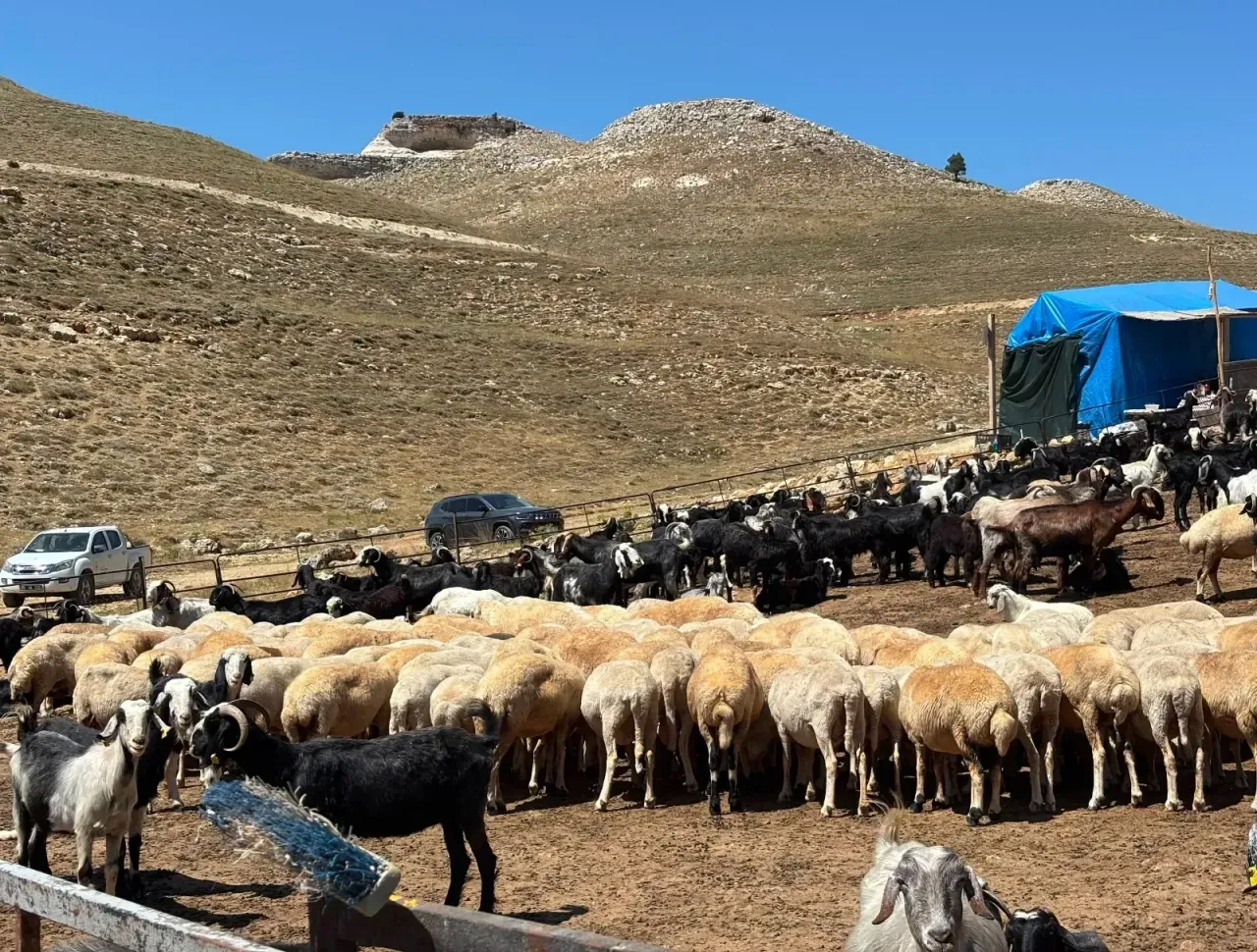 Köyümde Yaşamak İçin Bir Sürü Nedenim Var Projesi Sahada