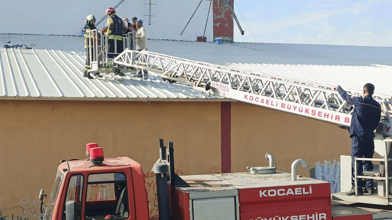 Kocaeli'nde elektrik akımına kapılan işçi yaralandı: Durumu ciddi