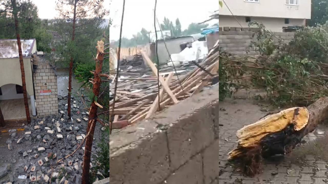 Diyarbakır'da kuvvetli sağanak: Minare yıkıldı, ağaçlar devrildi, bazı evlerin çatıları uçtu