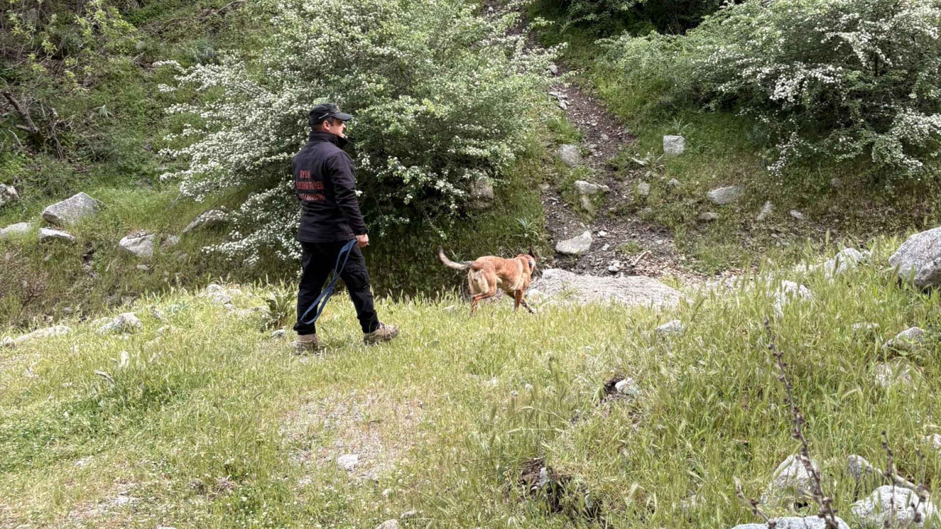 Sivas’ta kayıp bebek aranıyor