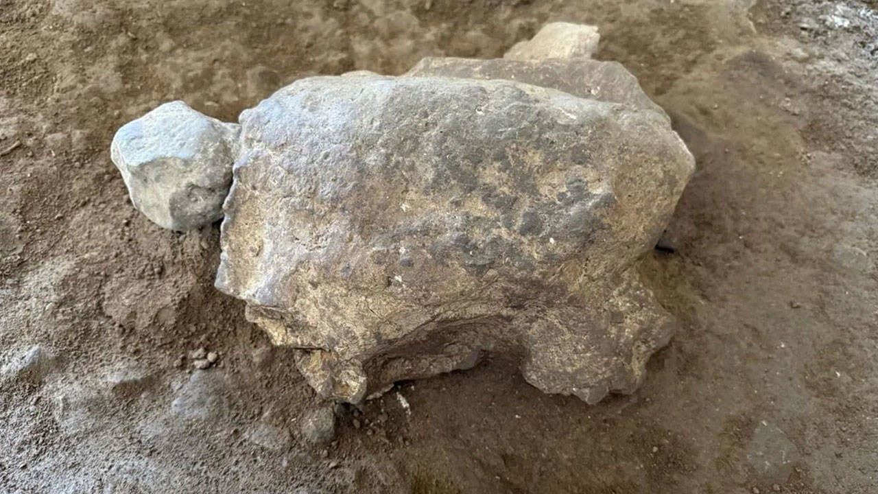 Bilecik'teki mağarada binlerce yıl öncesine ait kaplumbağa heykelcikleri bulundu