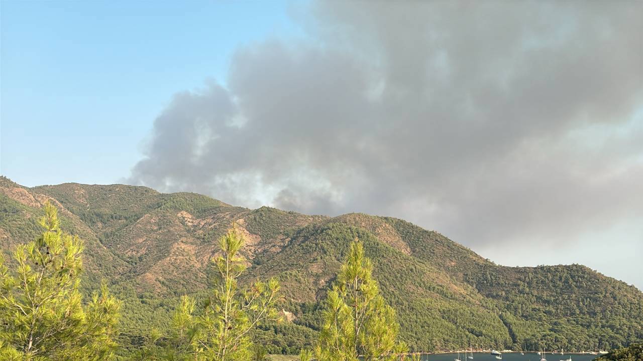 Marmaris'te orman yangını: Müdahale sürüyor
