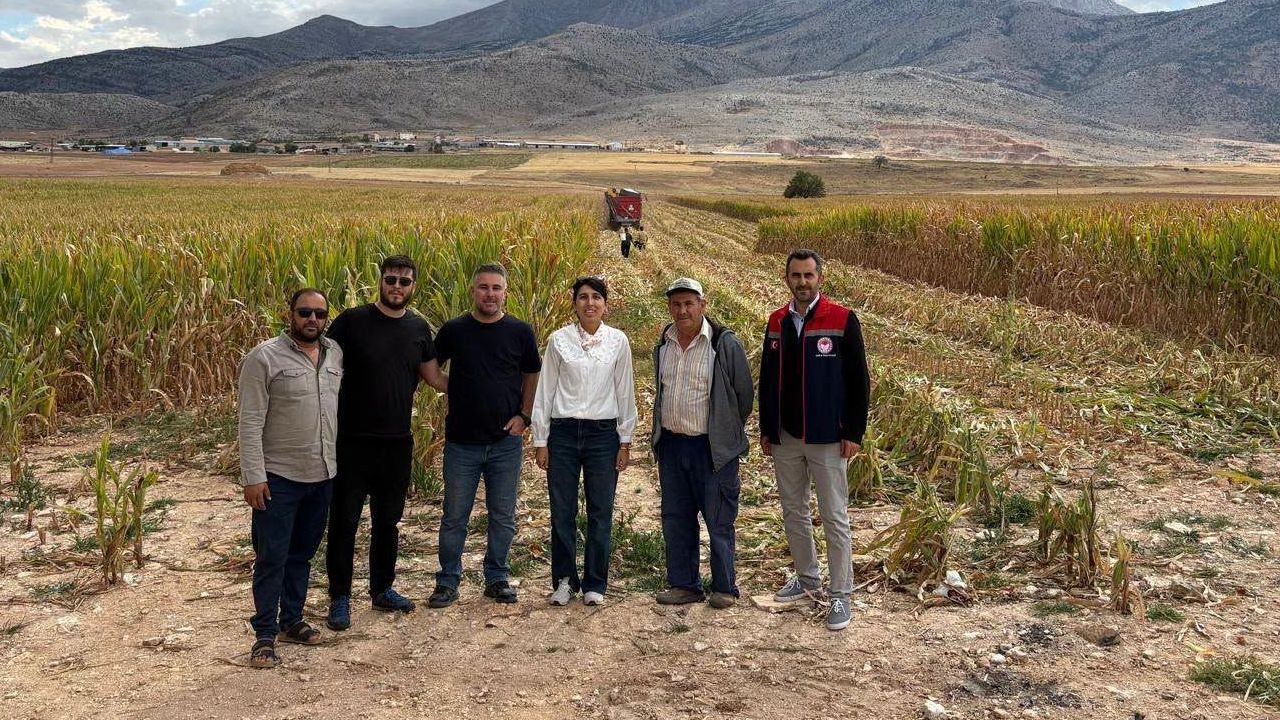 Kazımkarabekir’de Tohumluk Mısır Hasadı Başladı