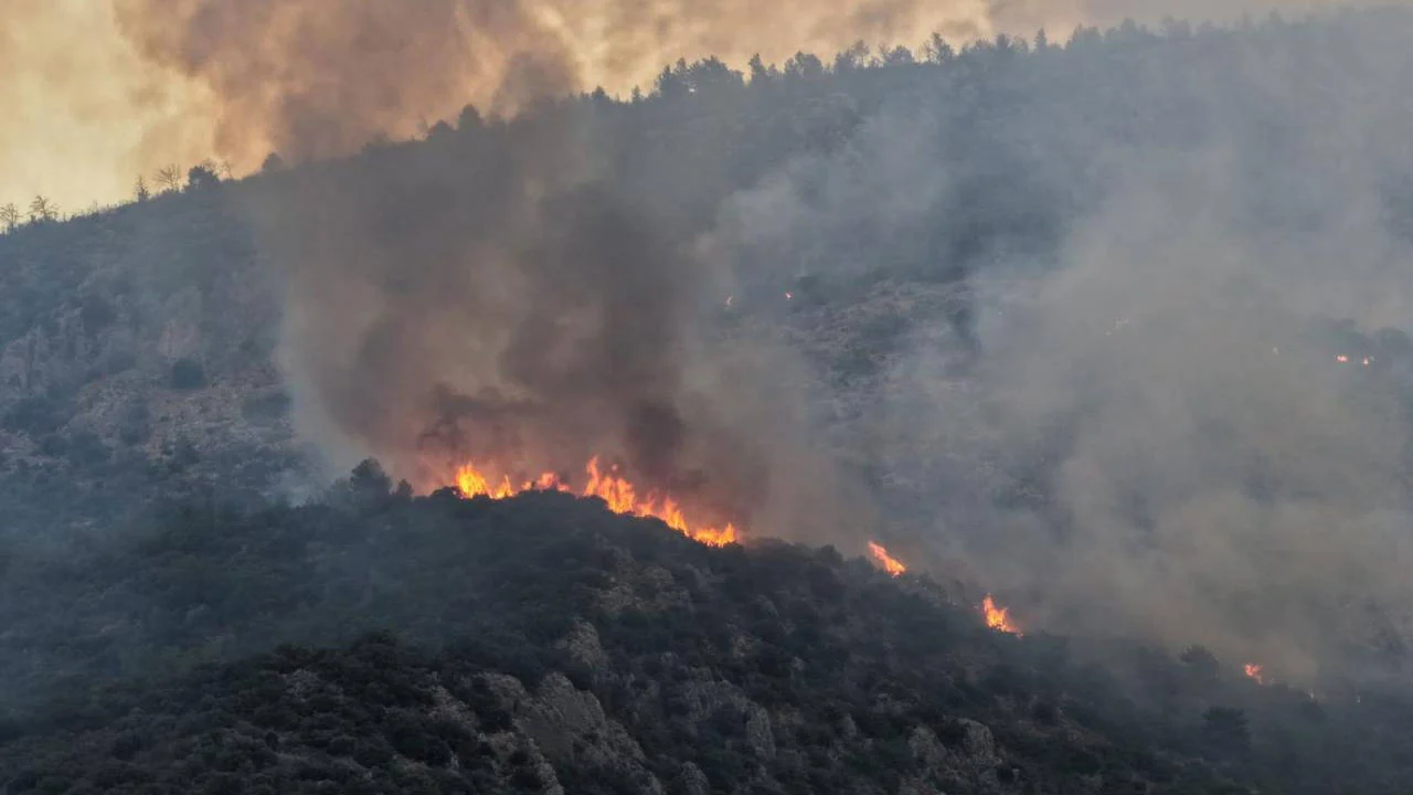 Kaş'ta orman yangını: Ekiplerin müdahalesi sürüyor