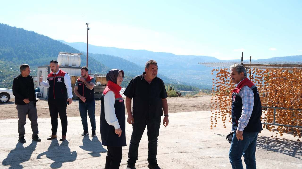 Ermenek’e 18 Milyon TL’lik Zeytinyağı Yatırımı!