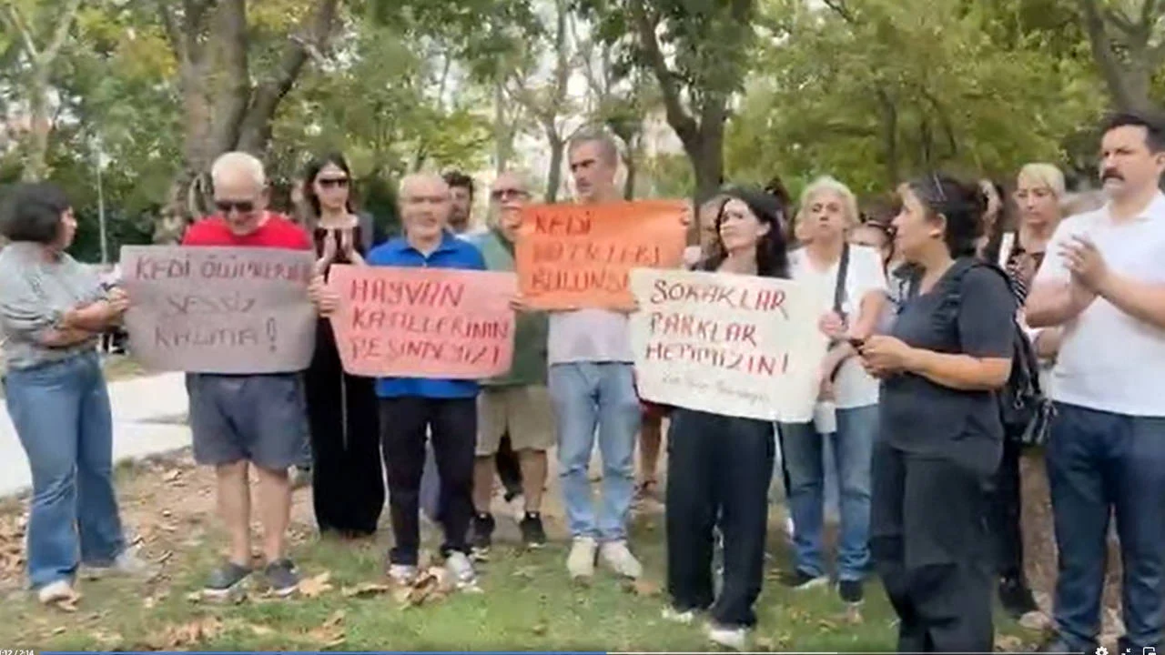 Okmeydanı’nda 9 yavru kedi katledildi: Mahalleli parkta nöbete başladı