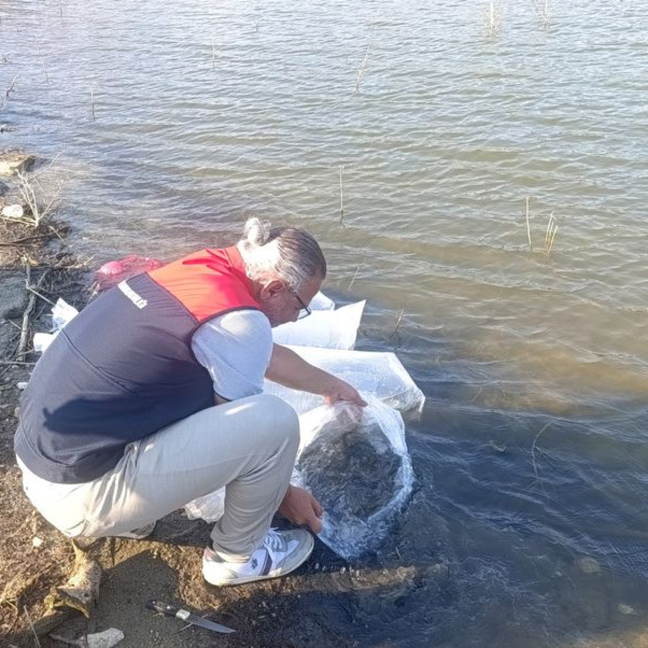 Göletlere 80 bin yavru balık bırakıldı