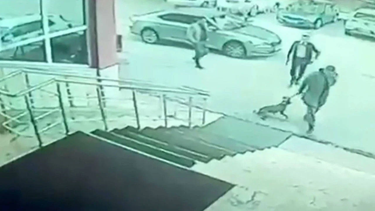 Kaymakam hakkında “köpeğe tekme”, koruma hakkında “silah çekme” iddiası: Soruşturma başlatıldı