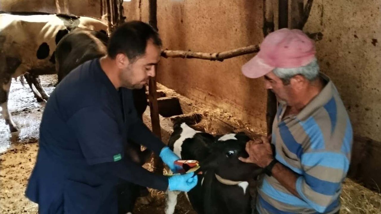 Hayvan Sağlığı Güvence Altında