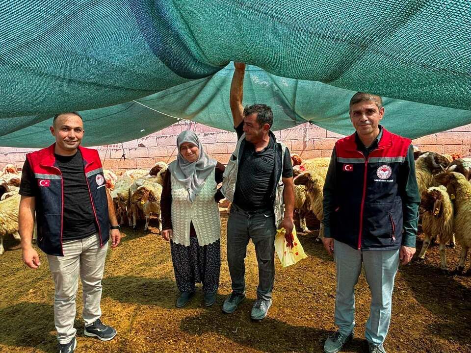 Kırsalda Bereket Küçükbaşa Destek