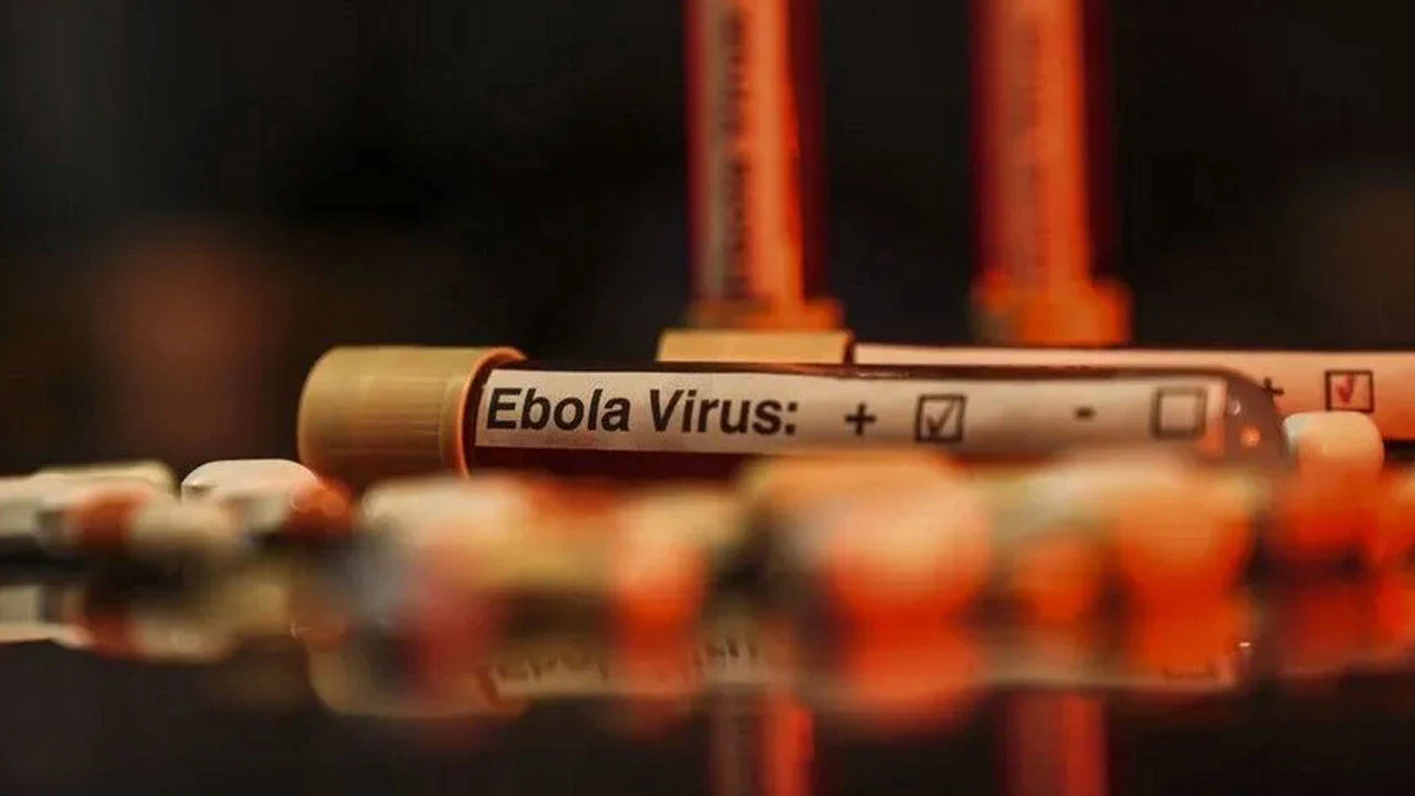 Nijerya'da ilk Ebola vakası tespit edildi: 44 temaslı belirlendi