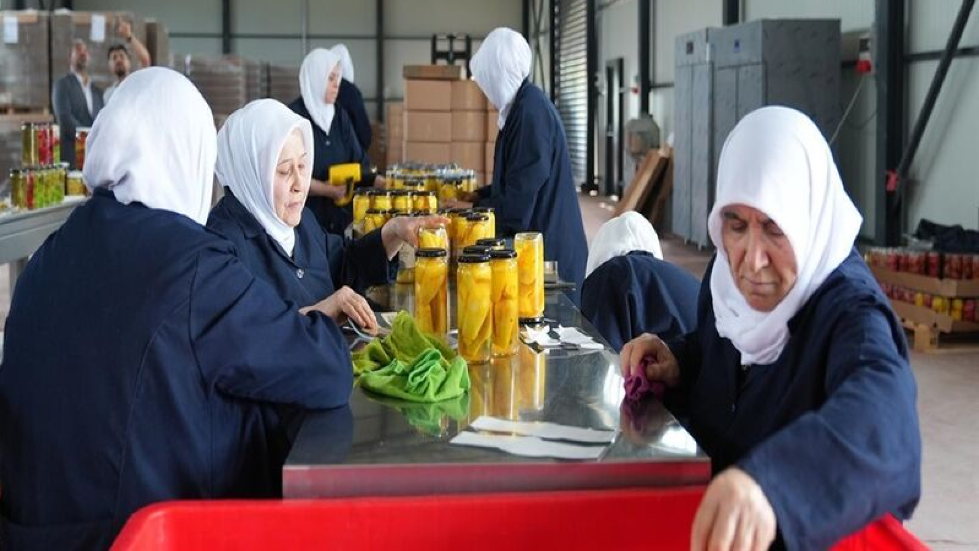 Kadınların elinden "yeni nesil turşular"