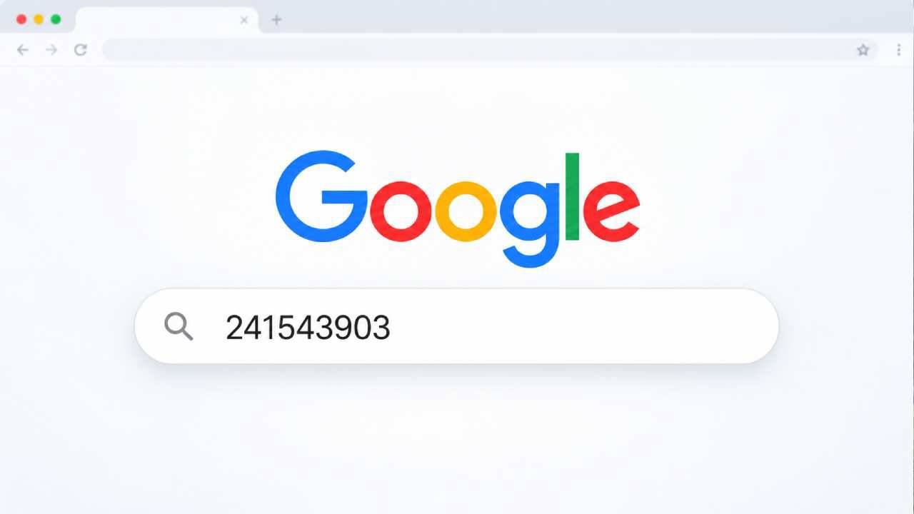 Google’a 241543903 Yazınca Çıkan Resimlerin Sırrı Nedir?