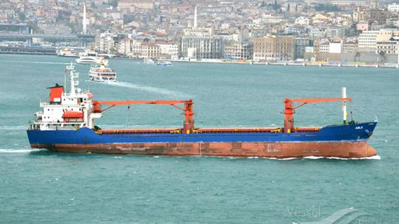Bulgaristan’ın Karadeniz açıklarında 2 gemiye İHA saldırısı: 11'i Türk 18 mürettebat kurtarıldı