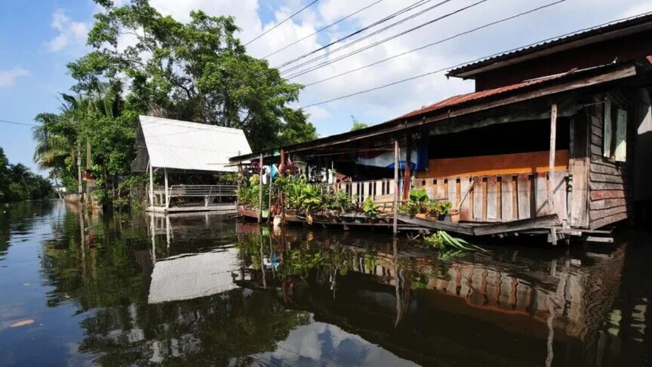 Tayland'da sel felaketi: Bangkok'taki 50 bölgenin tamamı afet bölgesi ilan edildi