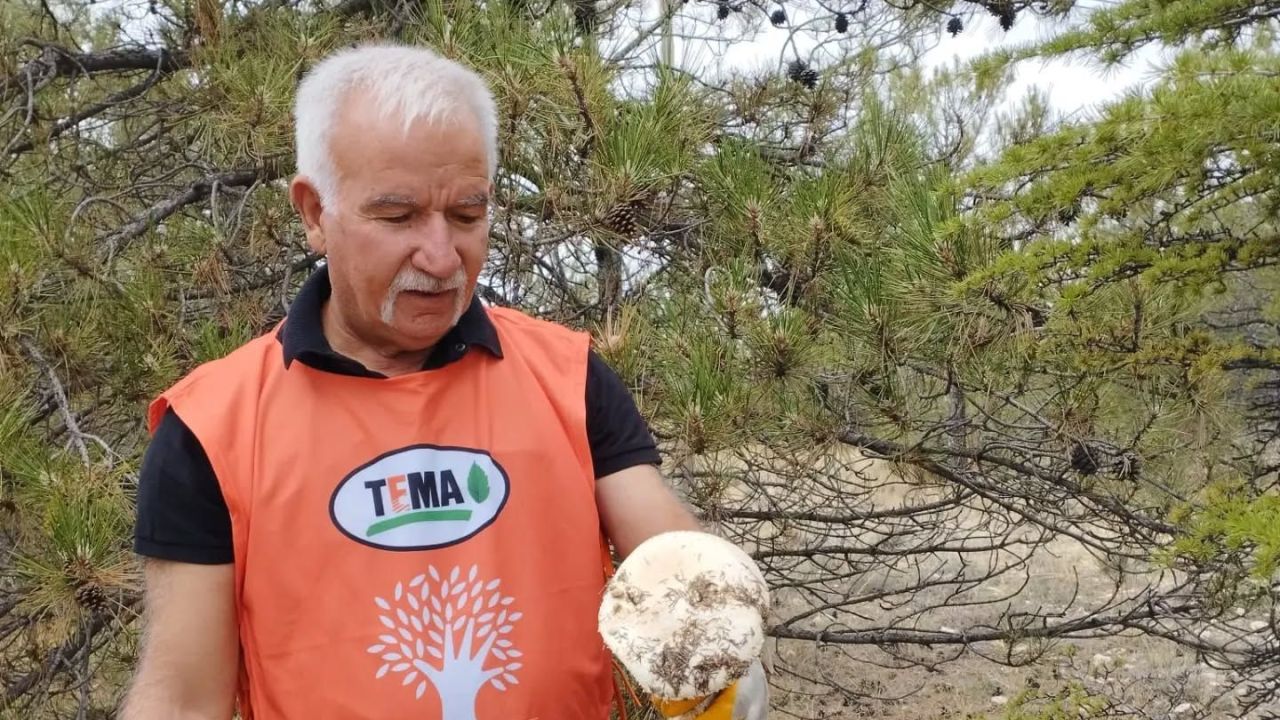 TEMA Karaman’dan Gençlere Gönüllülük Daveti