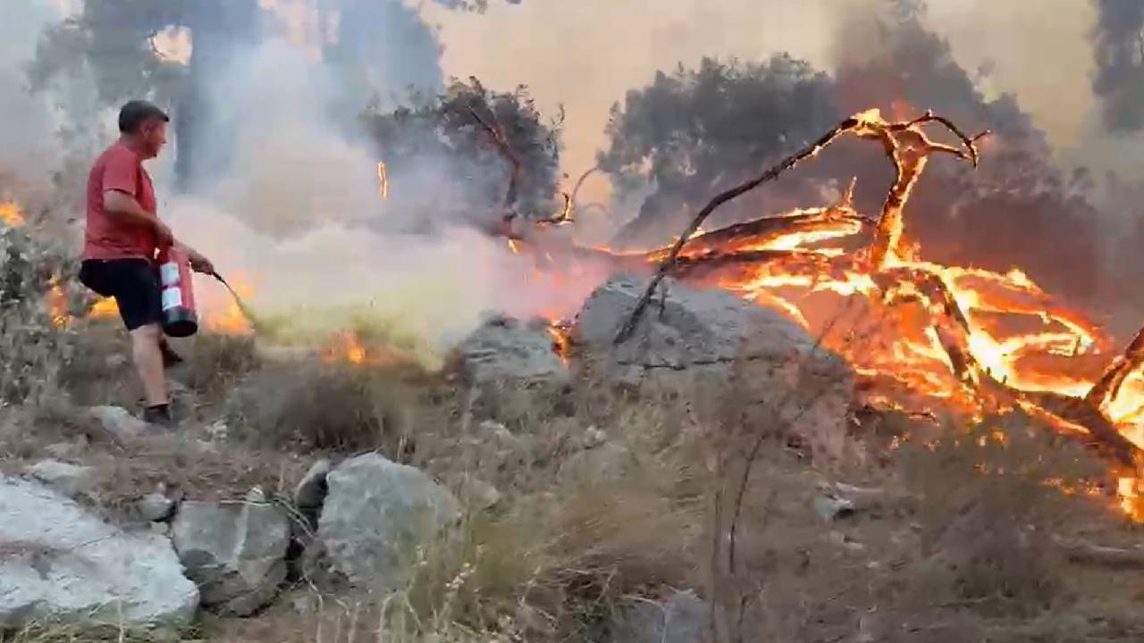 Antalya Kemer'de orman yangını: Müdahale sürüyor