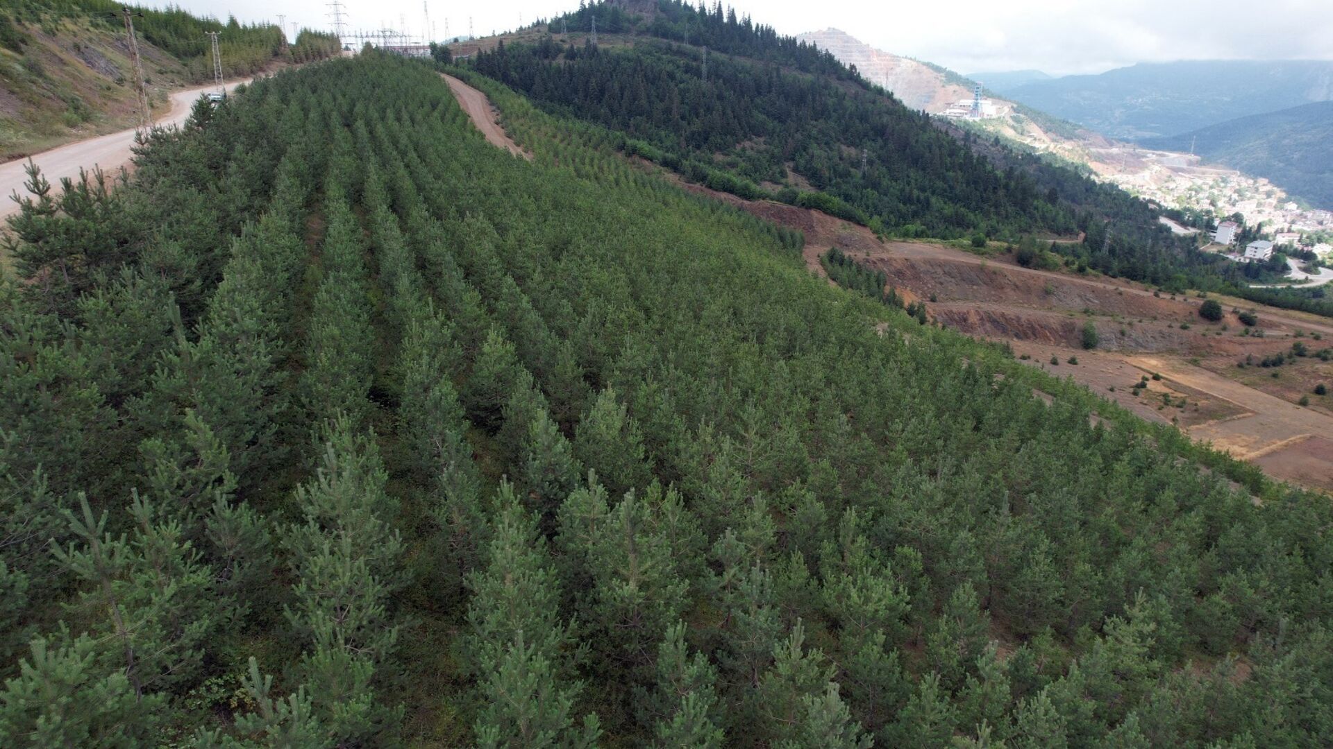 Eti Bakır, iklim ve doğa raporunu yayımladı