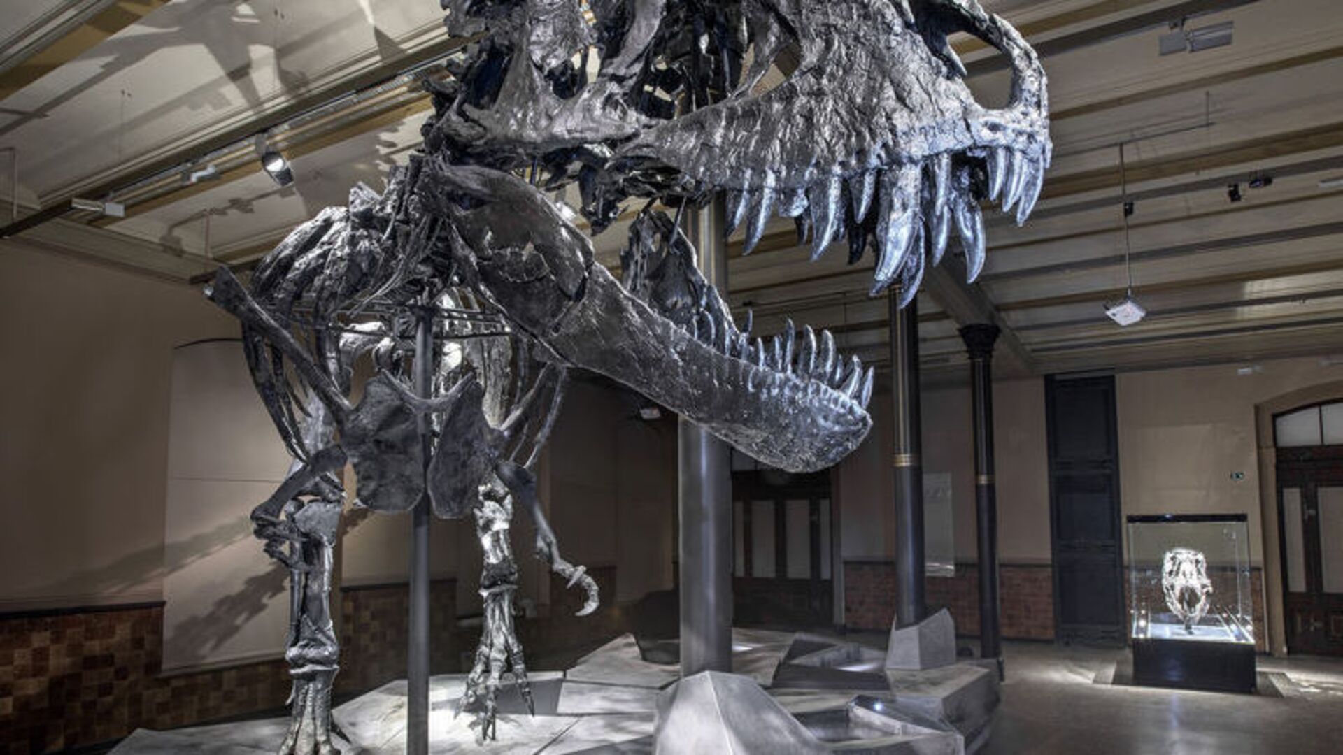 T-Rex ile insanlarla şaşırtan benzerlik!