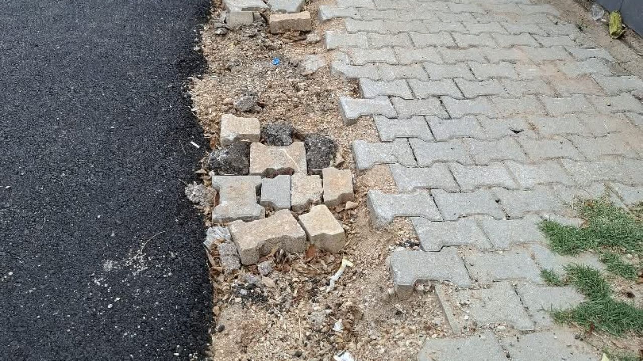 Bu Görüntü Mahalleliyi Tedirgin Ediyor