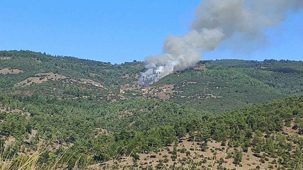 Bursa'da orman yangını